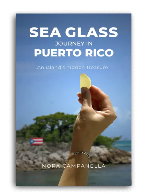Published book cover