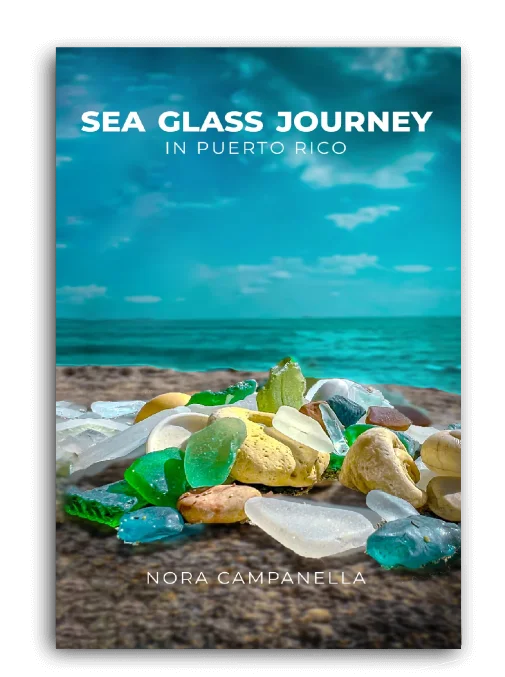 Published book cover